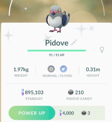 pivode best moveset