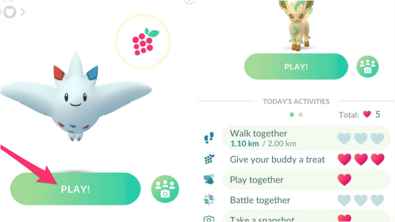 [Best Answer] How to Play with Your Buddy in Pokemon GO?