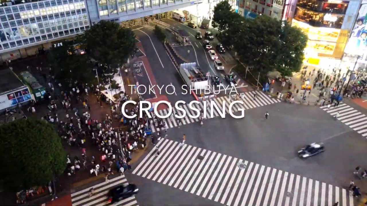 shibuya crossing tokyo