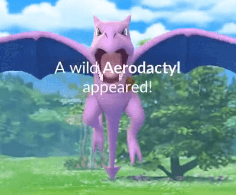 wild aerodactyl