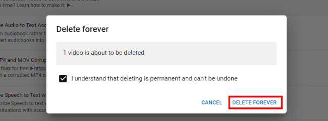 youtube confirm to delete the video forever