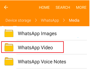 Restore WhatsApp deleted videos through local backup