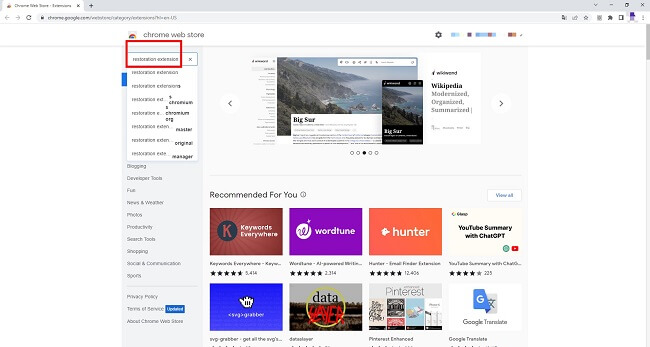 chrome web store