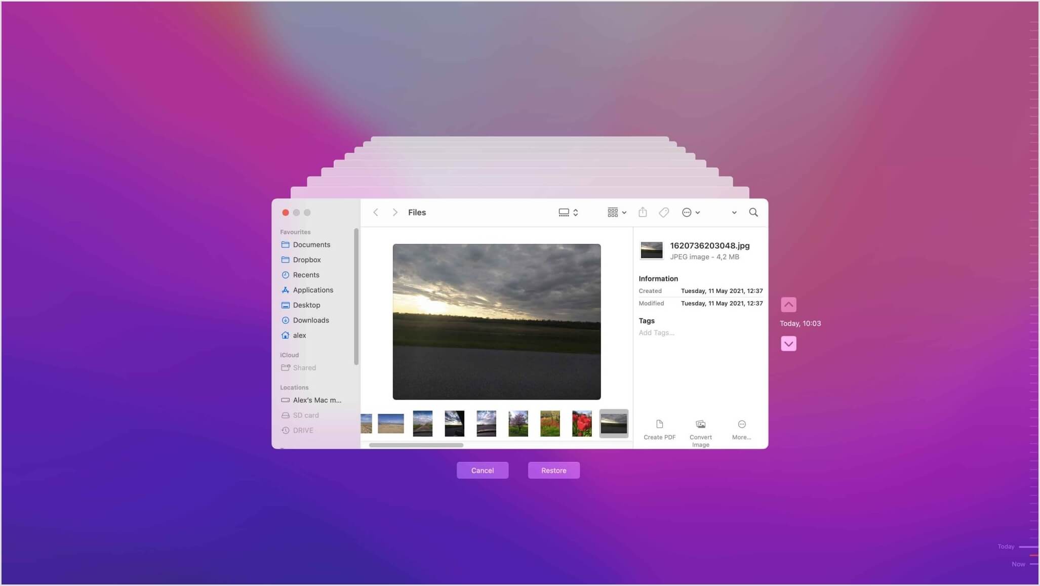 preview the file and restore in time machine