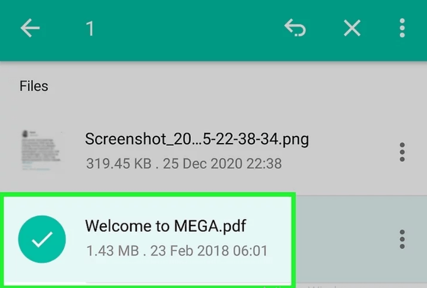 preview the files in Android Mega