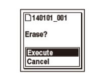 sony recorder select execute option