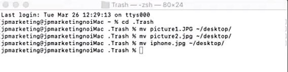 Put Back files from trash on Mac