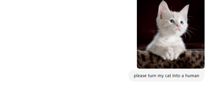 cat to human on chatgpt