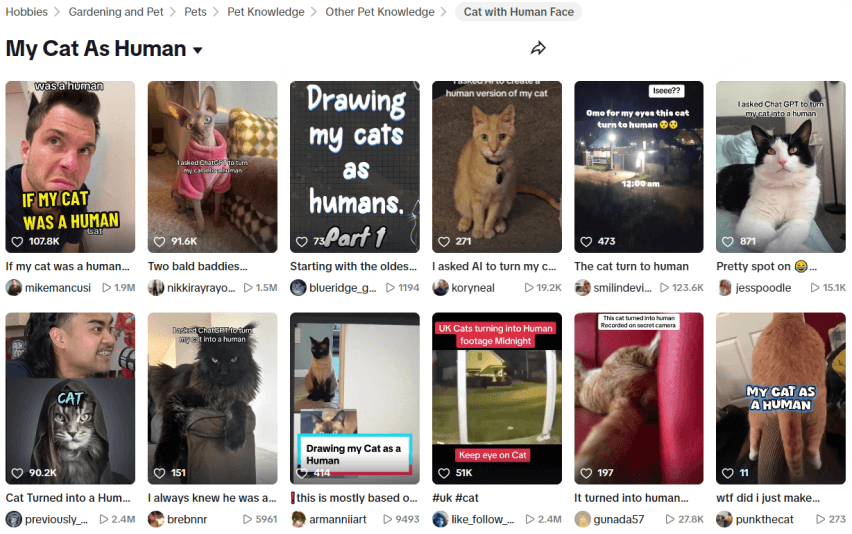 cat to human on tiktok