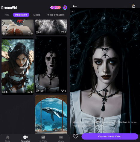 apply goth filter on dreamvid