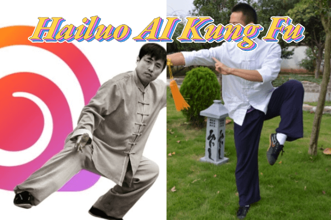 hailuo ai kung fu