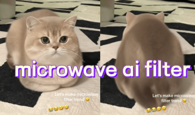 microwave ai filter