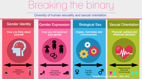 sextual types