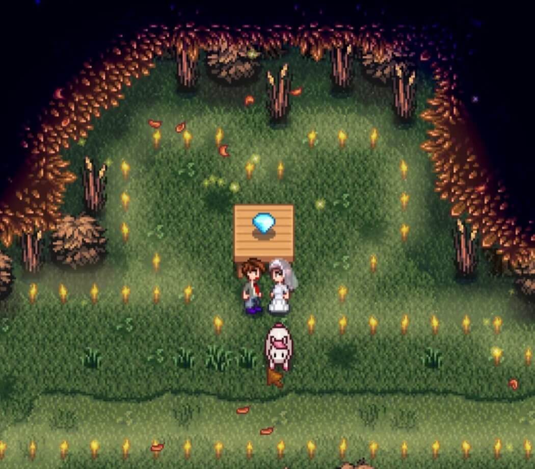Stardew Valley