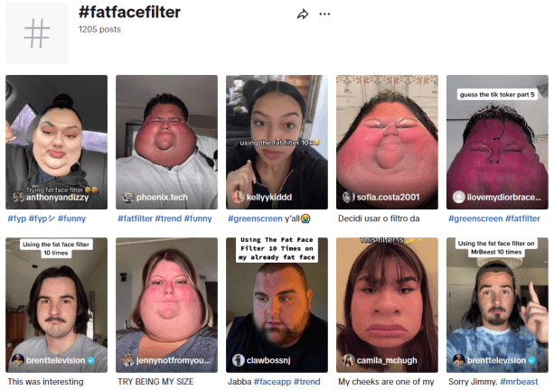 tiktok fat face filter