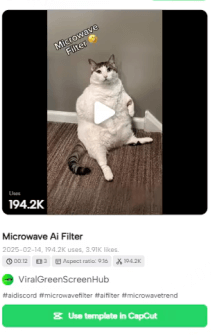 tiktok microwave ai filter usage