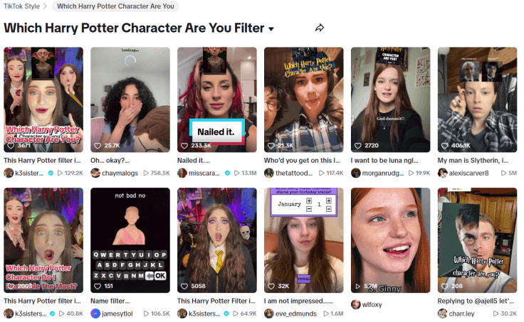 TikTok Harry Potter Look Alike Filter