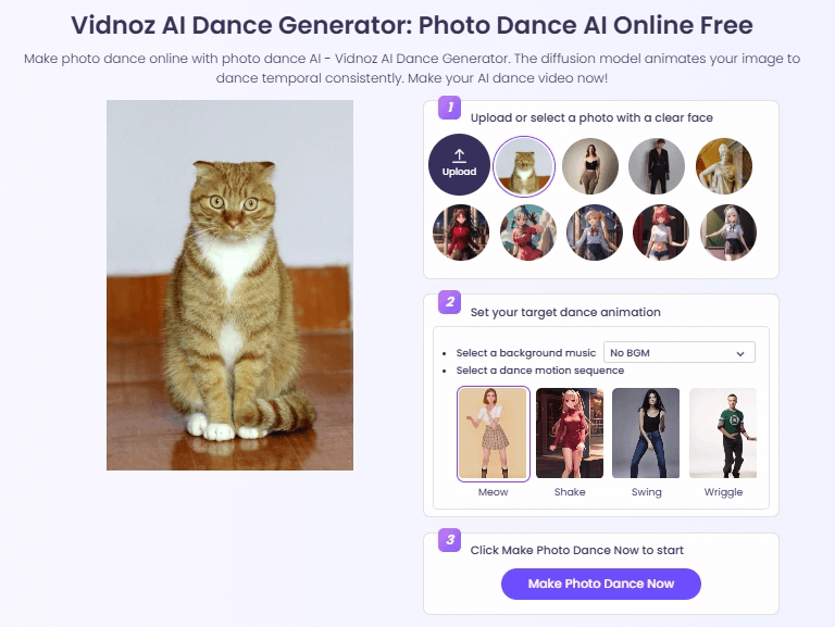 vidnoz cat ai video maker