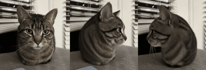 what is microwave ai filter
