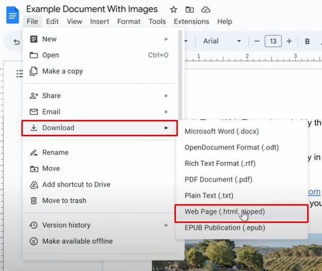 download images from google docs
