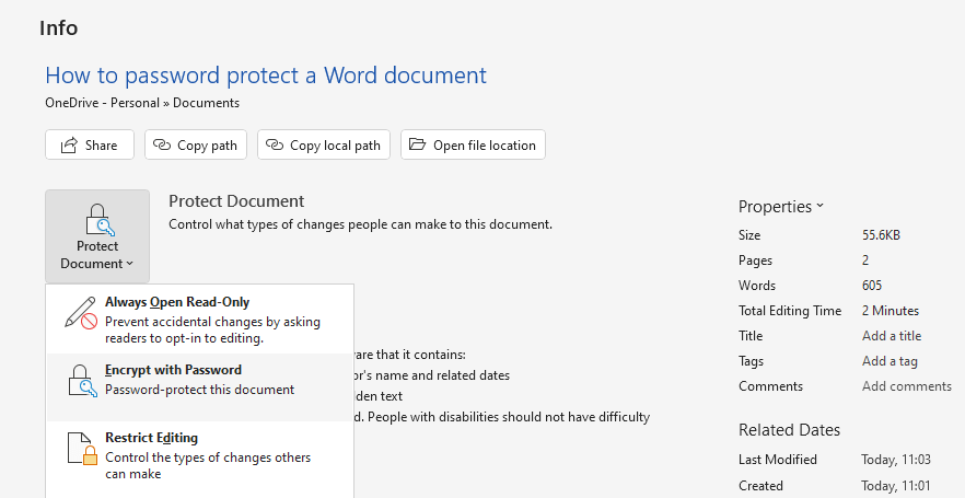 encrypt word document before converting to pdf