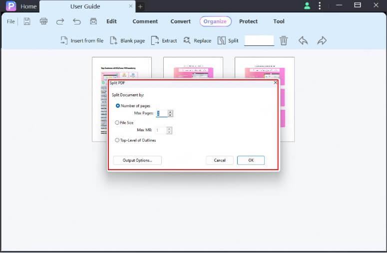 output options