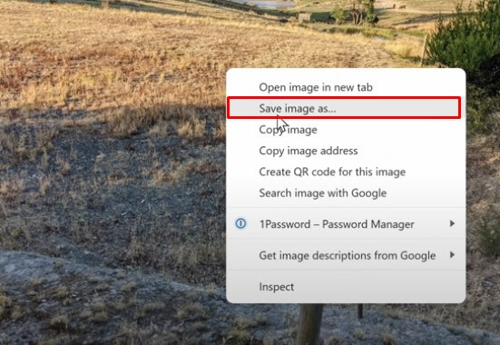download images from google docs-5