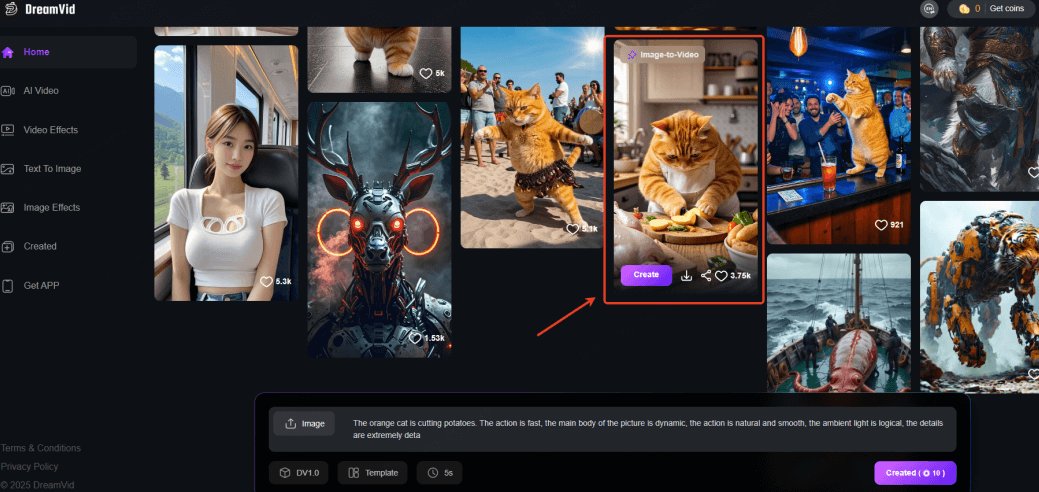 apply cat cooking template on dreamvid