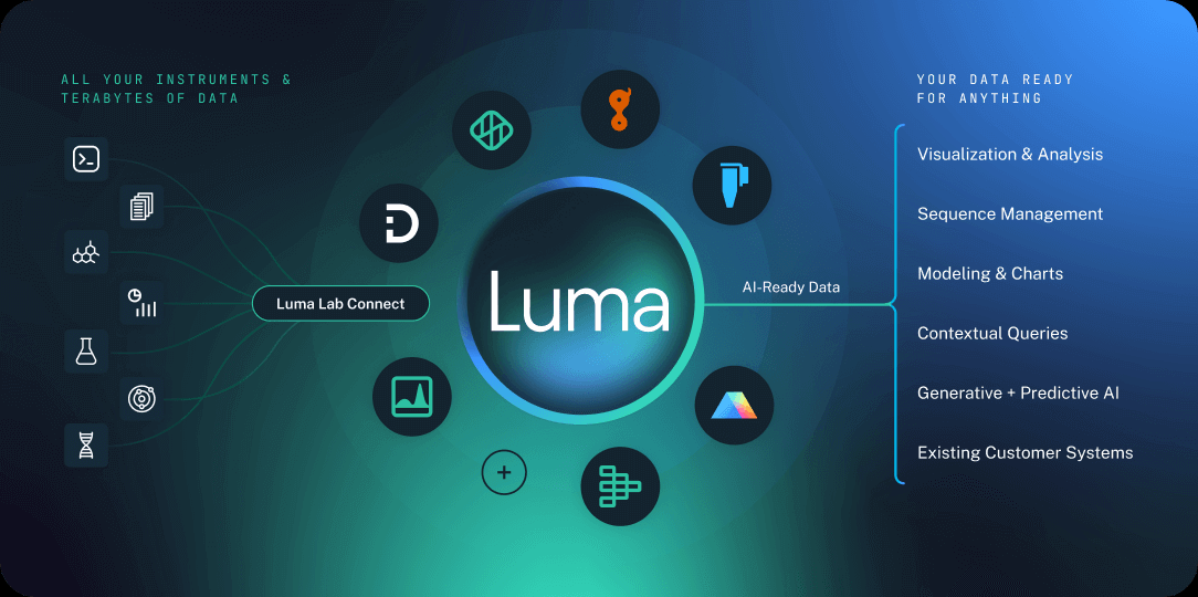 luma labs text to video features