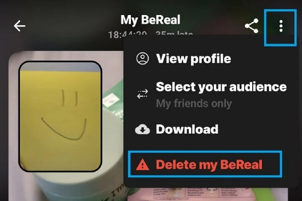 delete my Bereal