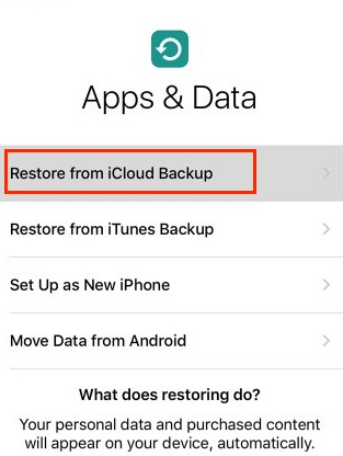 restore from icloud backup