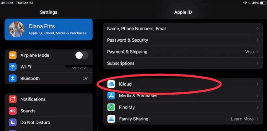 select the iCloud option