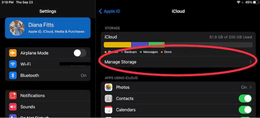 select the manage storage option