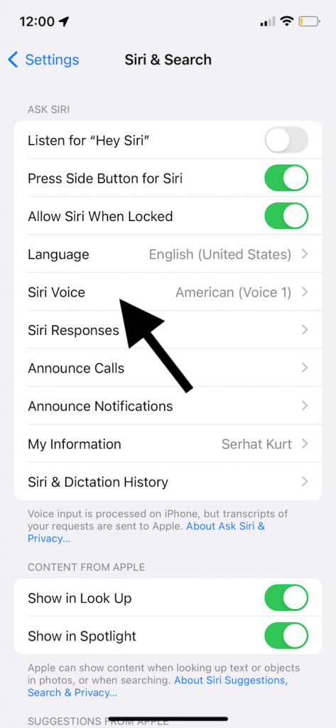 change siri voice