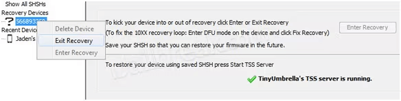 click the exit recovery