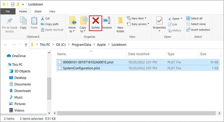 delete lockdown folder