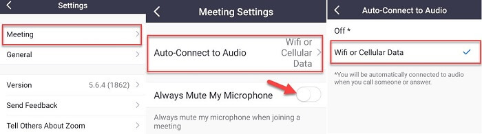 disable always mute my microphone