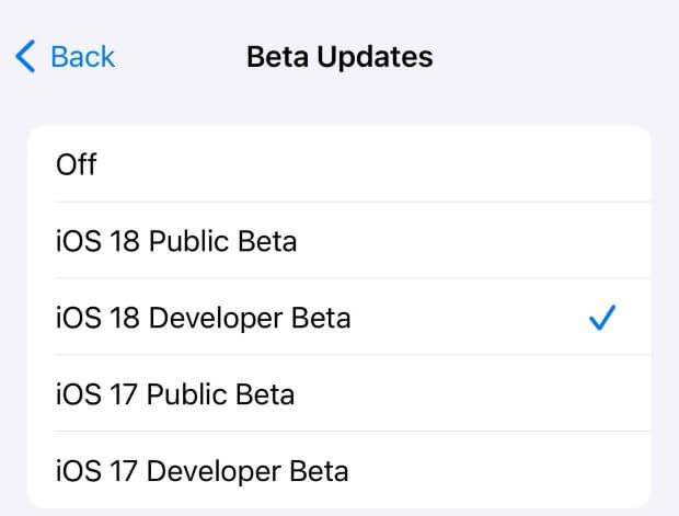 enable ios 18 developer beta