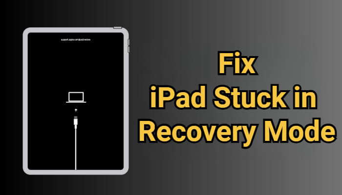 fix ipad stuck in recovery mode