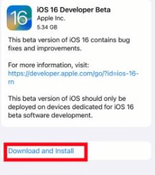 install ios 16 beta profile successful