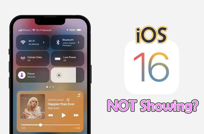 ios 16 not showing up