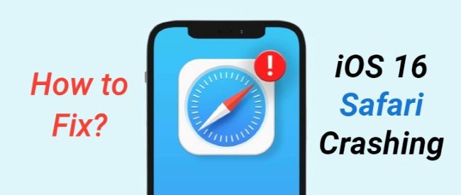 ios 16 safari crashing