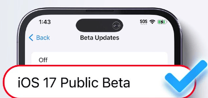 ios 17 beta update