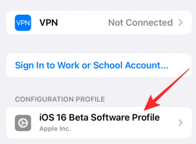 ios16 beta software profile