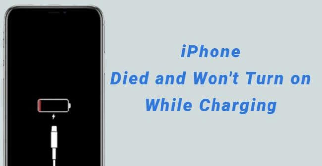 iphone died and won't turn on while charging