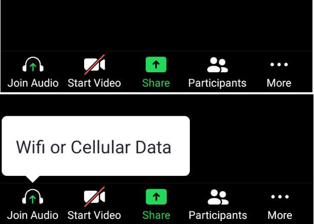 zoom test audio settings