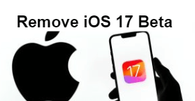 remove 17 beta iphone - imyfone fixppo