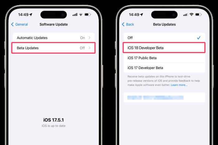 remove iOS 18 beta from software update