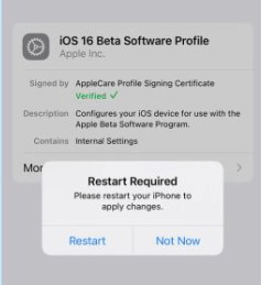 restart iphone after install ios 16 beta profile