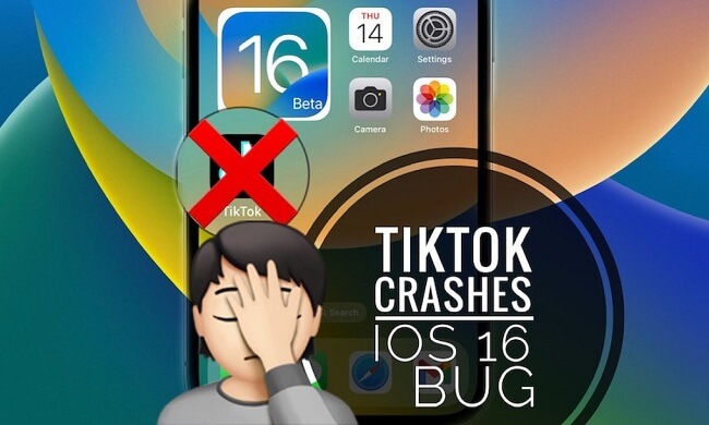 tiktok crashing ios 17